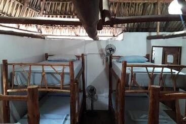 Backpackers Hostel