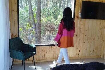 ホテル Bosque Las Delfinas