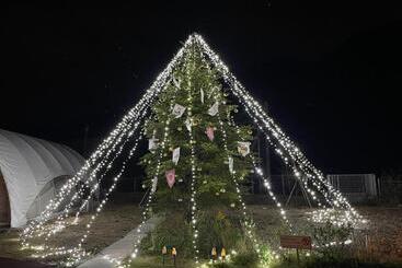 هتل Glamping&port Yui   Vacation Stay 98528v