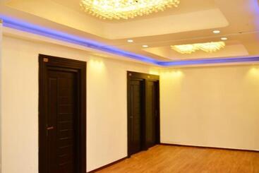 هتل New Oyo Borella