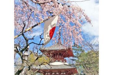 Kawagoe Daiichi Hotel   Vacation Stay 65225v