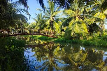 Kings Coco Resort