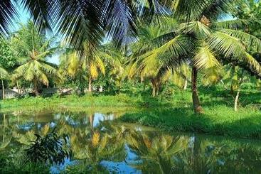 Kings Coco Resort