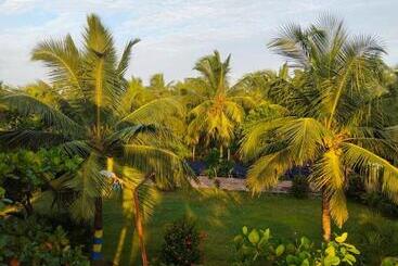 Kings Coco Resort