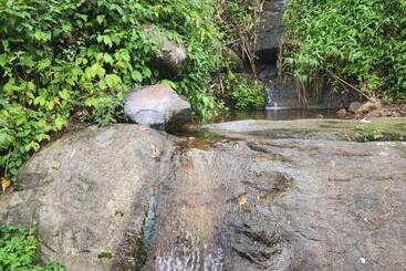Woodland Resort