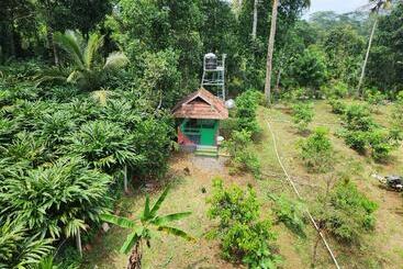 Woodland Resort