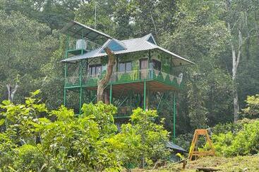 Woodland Resort
