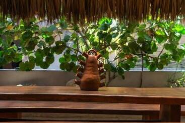 هتل El Origen Villas & Spa Puerto Escondido
