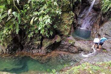 هاستل Hostal Herping Bahia Solano Tour