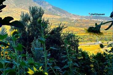 هتل Auberge Dalia