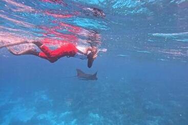 پانسیون David Homestay Raja Ampat