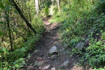 بنسيون Hostal La Roca