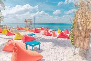 تختخواب و صبحانه Victoria Homestay 63 Tran Hung Dao 1 Minute Walking To Beach