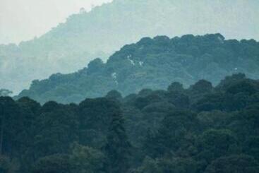 Vive En Un Castillo En Valle De Bravo