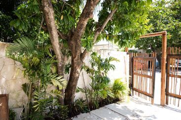 هتل Yax Kiin Casa Boutique
