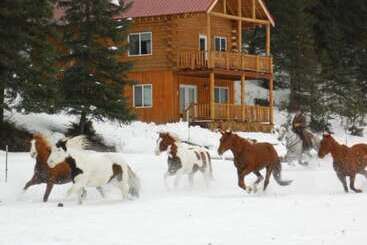 فندق Bar W Guest Ranch
