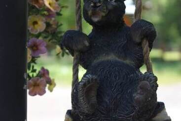 هتل Black Bear Manor