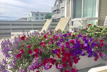 هتل Dyer's Beach House