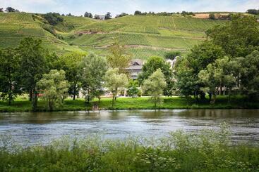 هتل Moselblick