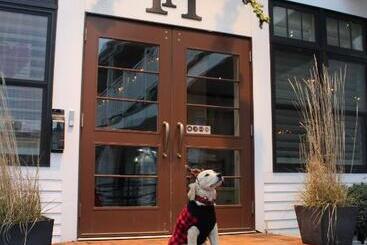 酒店 Pilgrim House