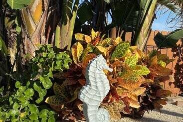 هتل Seahorse Oceanfront Inn