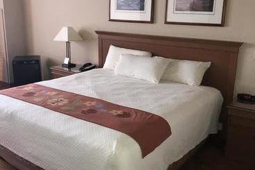 هتل Soaring Eagle Casino And Resor