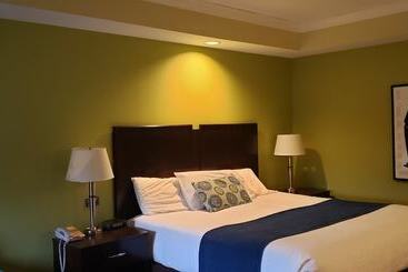 هتل Starlight Inn