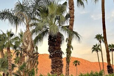 هتل Vista Grande Resort   A Gay Men S Resort