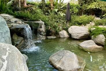 هتل Vista Grande Resort   A Gay Men S Resort