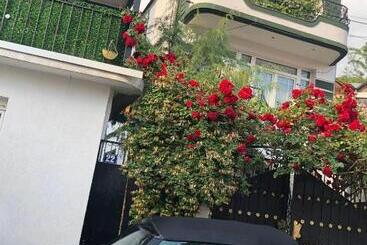 تختخواب و صبحانه Adem S Cozy Terrace Retreat