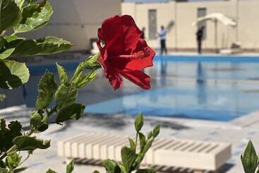 Princess Resort 343
