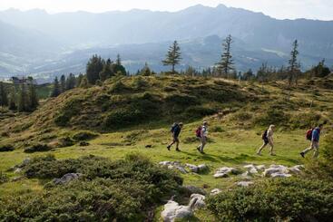 هتل Bergwelten Salwideli
