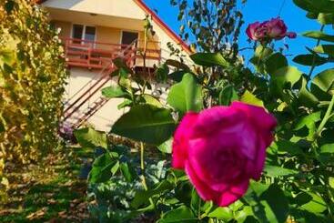 پانسیون Casa Lumi