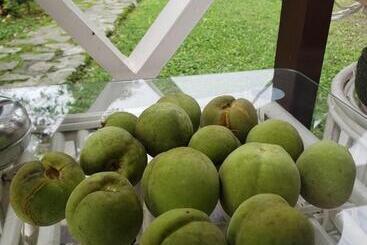 هتل The Nettle And Fern Farmstay