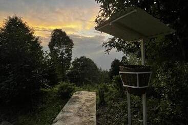 هتل The Nettle And Fern Farmstay