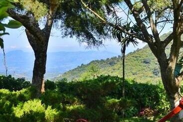 پانسیون Cabaña Montecielo 2