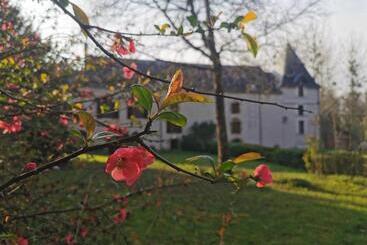 تختخواب و صبحانه Gite Du Meunier, Moulin De Vineuil, 4ch, 2sdb