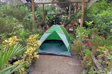 هتل Jardin Botanico Bellavista