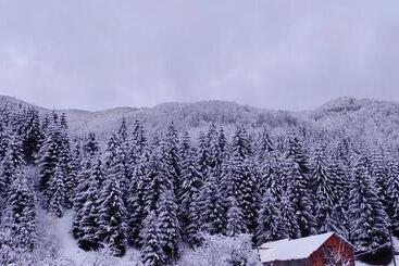 膳宿费 садиба квітка карпат