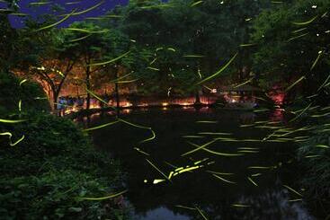 旅館 Izu Katase Onsen Ayumitei Fukumatsuso