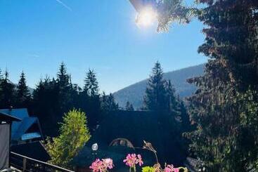 تختخواب و صبحانه Pensiunea Panoramic