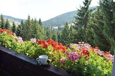 تختخواب و صبحانه Pensiunea Panoramic