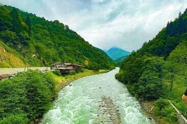 Ahsena Buti̇k Otel