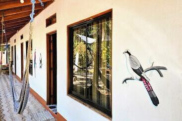 酒店 Don Jon S Surf And Yoga Lodge