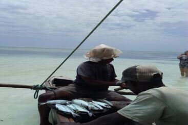 پانسیون Bb Ayla Beach House Zanzibar