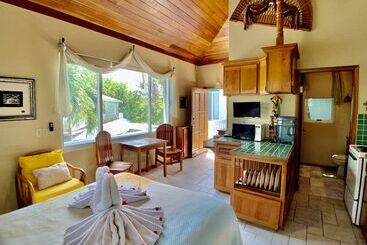 Belizean Reef Suites