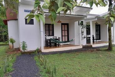 هتل Hibiscus Garden
