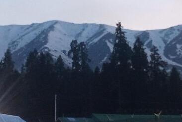 هاستل Gulmarg View Cottage