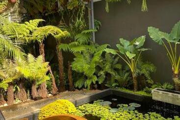 تختخواب و صبحانه Kim đồng Homestay