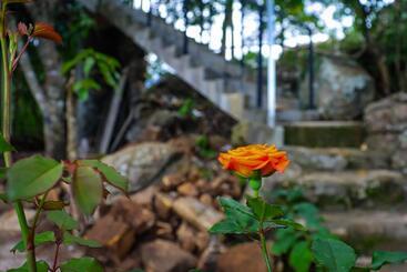 هتل Rock N Fall Nature Resort
